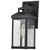 Satco 60-7371 Matte Black  Wall Light with Clear Glass 