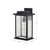  Satco 60-7376 Matte Black Wall Light with Clear Seeded Glass 