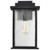  Satco 60-7376 Matte Black Wall Light with Clear Seeded Glass 
