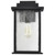  Satco 60-7376 Matte Black Wall Light with Clear Seeded Glass 