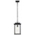  Satco 60-7377 Matte Black Hanging Light with Clear Seedy Glass 