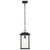  Satco 60-7377 Matte Black Hanging Light with Clear Seedy Glass 