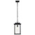  Satco 60-7377 Matte Black Hanging Light with Clear Seedy Glass 