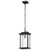  Satco 60-7377 Matte Black Hanging Light with Clear Seedy Glass 