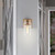  Satco 60-7531 Burnished Brass Vanity Light with Clear Glass 