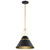  Satco 60-7766 Matte Black and Natural Brass Pendant Light 