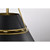  Satco 60-7768 Matte Black and Natural Brass Pendant Light 