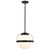  Satco 60-7775 Matte Black Pendant Light with White Opal Glass 