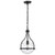  Satco 60-7817 Matte Black Pendant Light with Clear Glass 