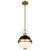  Satco 60-7876 Matte Black Pendant Light with Etched Opal Glass 