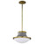  Satco 60-7917 Matte Gray Pendant Light with White Opal Glass 