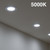 TCP L7P20D2550KNFL LED PAR20 Lamp 5000K 