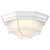  Satco 62-1399 White Ceiling Light with Frosted Glass 
