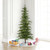 Vickerman A101865 - 6 ft Shawnee Fir Unlit Christmas Tree
