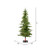 Vickerman A101866LED - 6 ft Shawnee Fir Prelit Warm White LED Christmas Tree