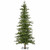 Vickerman A101870 - 7 ft Shawnee Fir Unlit Christmas Tree