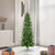 Vickerman A103056LED - 5.5 ft Salem Pencil Pine Prelit Warm White LED Christmas Tree