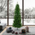 Vickerman A103085 9.5' x 44" Salem Pencil Pine 1171Tips
