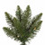 Vickerman A103655 - 5.5 ft Durham Pole Pine Unlit Christmas Tree