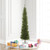 Vickerman A103655 - 5.5 ft Durham Pole Pine Unlit Christmas Tree