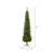 Vickerman A103656LED - 5.5 ft Durham Pole Pine Prelit Warm White LED Christmas Tree