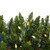 Vickerman A103657LED 5.5' x 18" Durham Pole LED 150MU