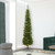 Vickerman A103676LED 7.5' x 23" Durham Pole LED 250WW
