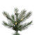 Vickerman A118196LED - 15 ft Cashmere Pine Prelit Warm White LED Christmas Tree