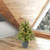 Vickerman A118225LED 24" x 21" Cashmere Pine LED 50WW