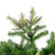 Vickerman A118230 - 3 ft Cashmere Pine Unlit Christmas Tree