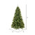 Vickerman A118267LED 6.5' x 49" Cashmere Pine LED 500MU