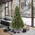 Vickerman A118275 - 7.5 ft Cashmere Pine Unlit Christmas Tree
