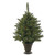 Vickerman A118537LED 3.5' x28" Cashmere Tree LED50MU BO Timer
