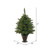 Vickerman A118537LED 3.5' x28" Cashmere Tree LED50MU BO Timer