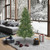 Vickerman A801660 - 6.5 ft Mixed Country Pine Unlit Christmas Tree