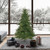 Vickerman A801665 - 6.5 ft Mixed Country Pine Unlit Christmas Tree