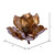 Vickerman EH211713 - 7" Champagne Gold Glitter Magnolia Ornament - 2 Pack