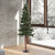 Vickerman A807260 6' x 33" Alpine Tree w/Cones/Vine 657T