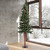 Vickerman A807270 7' x 41" Alpine Tree w/Cones/Vine 921T