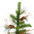 Vickerman A807560 6' x 41" Ashland 741 Tips Pine Cones 