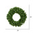 Vickerman A808736 36" Douglas Fir Wreath 320 Tips 