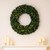 Vickerman A808848LED - 48" Douglas Fir Wreath with Warm White LED Lights