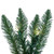 Vickerman A861127LED - 25 ft Green Fir Christmas Garland - Warm White LED