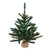 Vickerman B160426LED - 2 ft Anoka Pine Prelit Multi-colored LED Christmas Tree