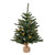 Vickerman B160431LED - 2.5 ft Anoka Pine Prelit Warm White LED Christmas Tree