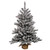 Vickerman B160542 - 4 ft Flocked Anoka Pine Unlit Christmas Tree