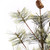 Vickerman B165512 - 9 ft Green Alpine Christmas Garland - Unlit