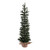 Vickerman B166830 - 3 ft Mini Pine Tree Unlit Christmas Tree
