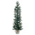 Vickerman B166831LED - 3 ft Mini Pine Tree Prelit Warm White LED Christmas Tree