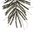 Vickerman B167660 - 6 ft Vienna Twig Unlit Christmas Tree